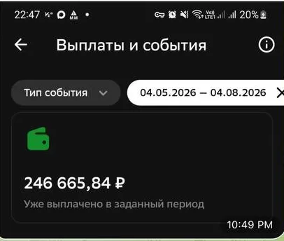 246 665 ₽ выплачено за период